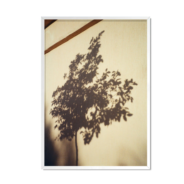 luka: Tree on the wall