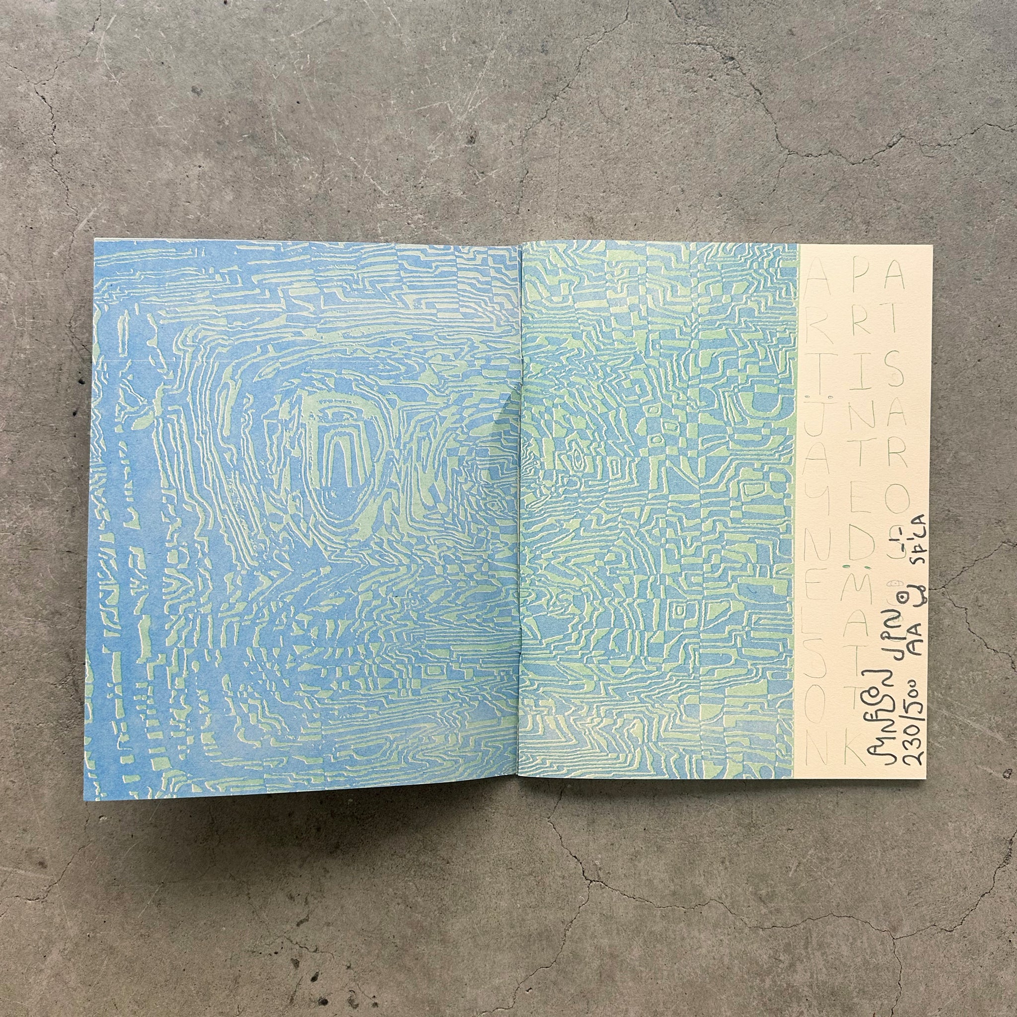 Risograph Zine by Jay Nelson