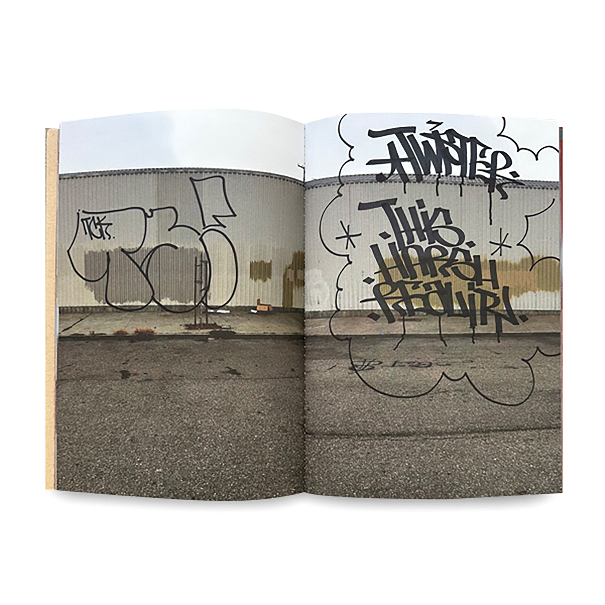 The Harsh Reality by Barry McGee