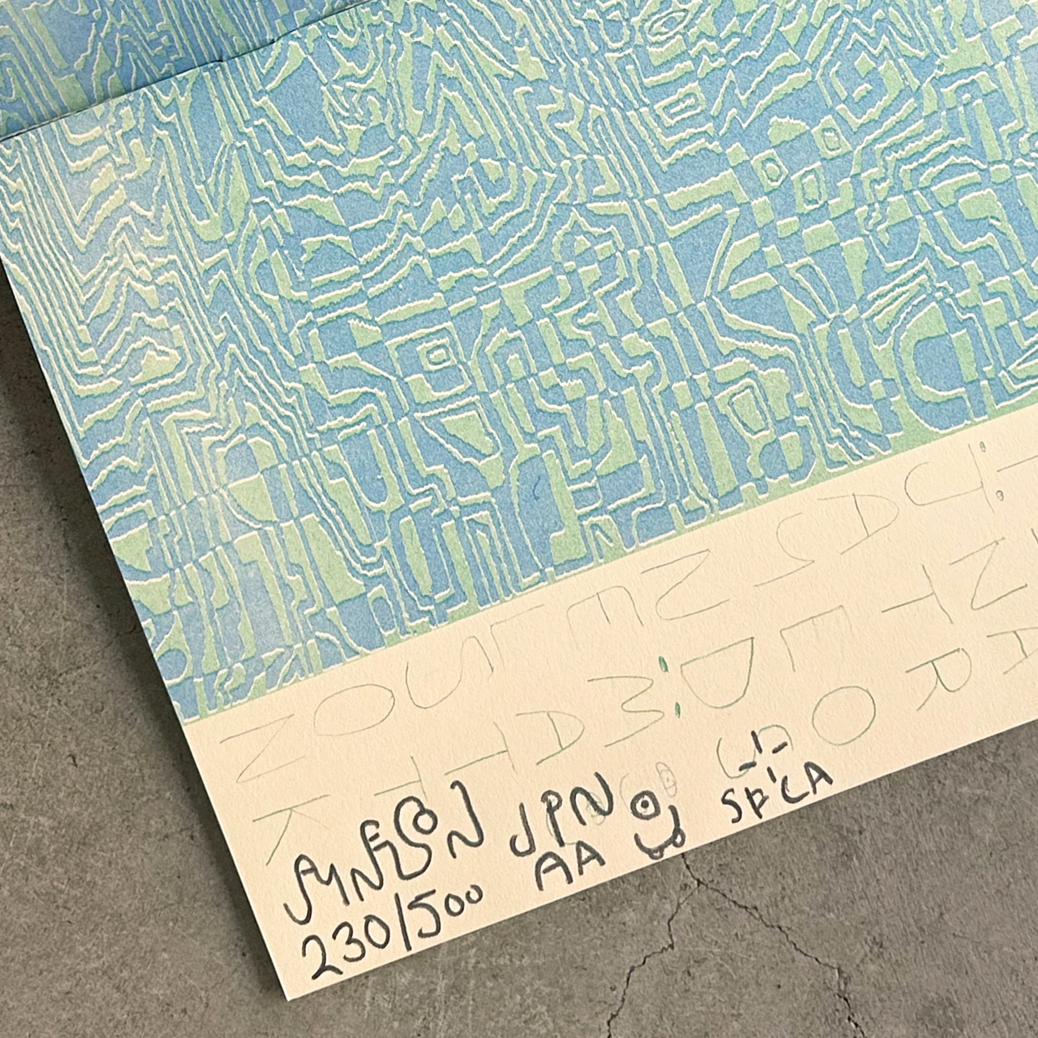 Risograph Zine by Jay Nelson