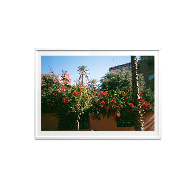 luka: Red flower