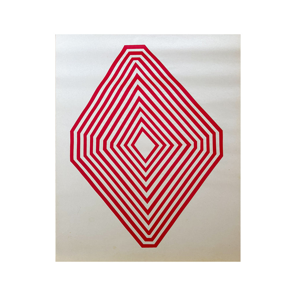 Octagon Screen Print #2