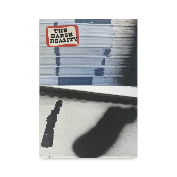 The Harsh Reality by Barry McGee
