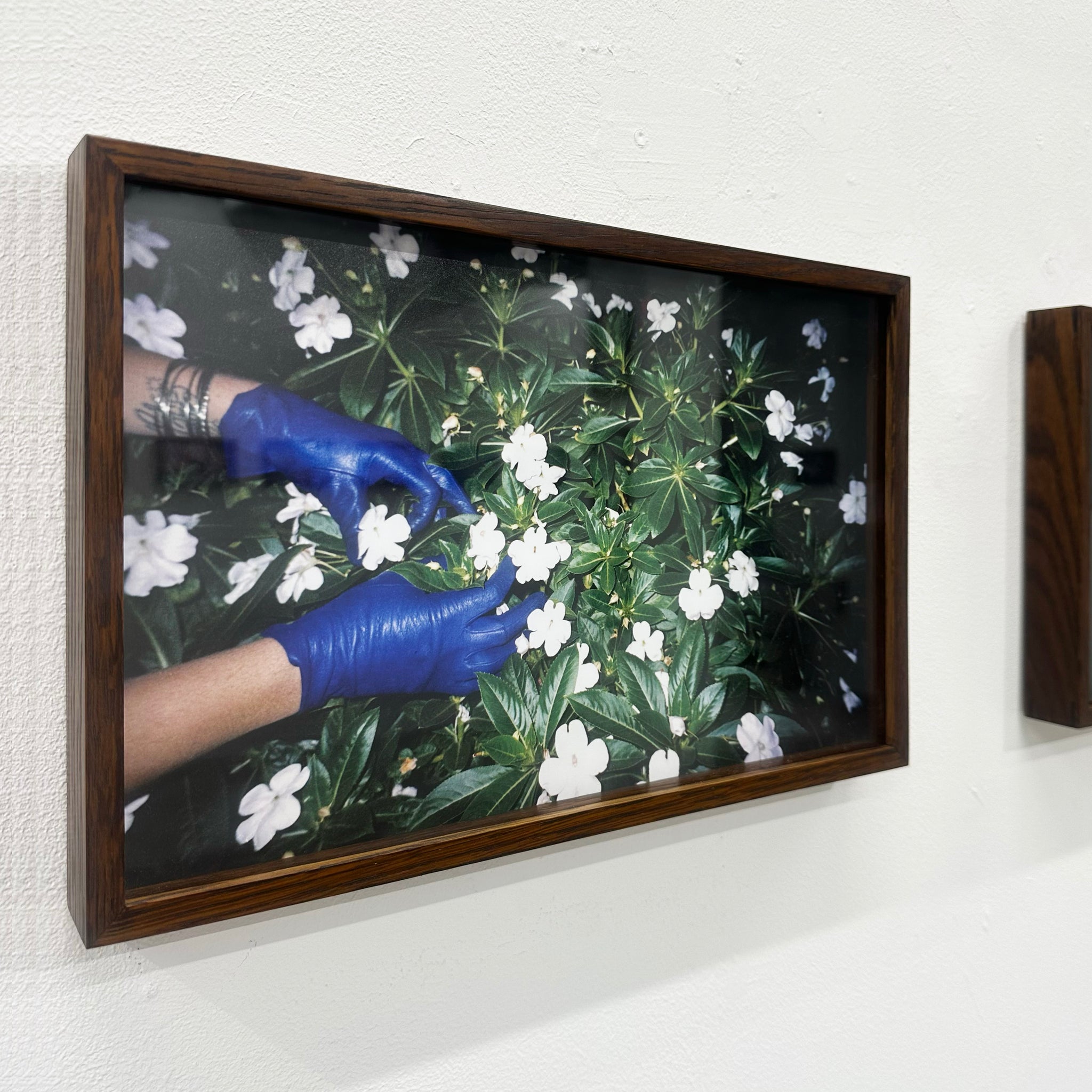 Sandy Kim: Glove and flowers