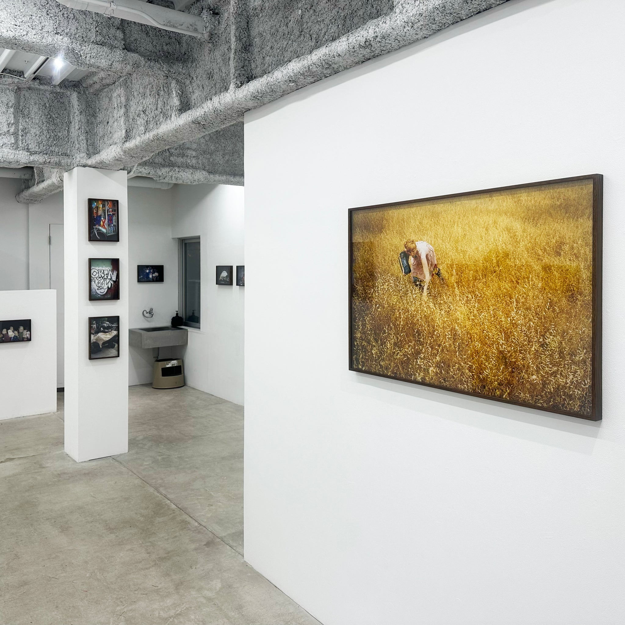 Sandy Kim: Andrea field