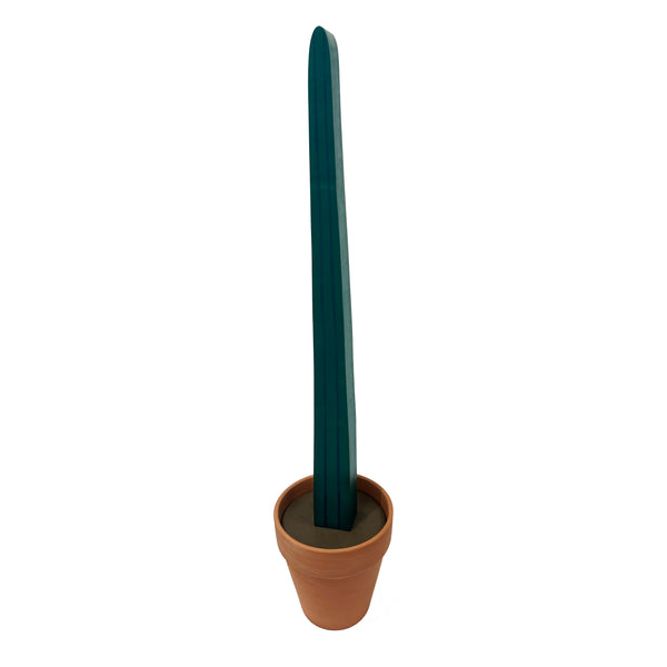 Jeff Canham: Plant #5