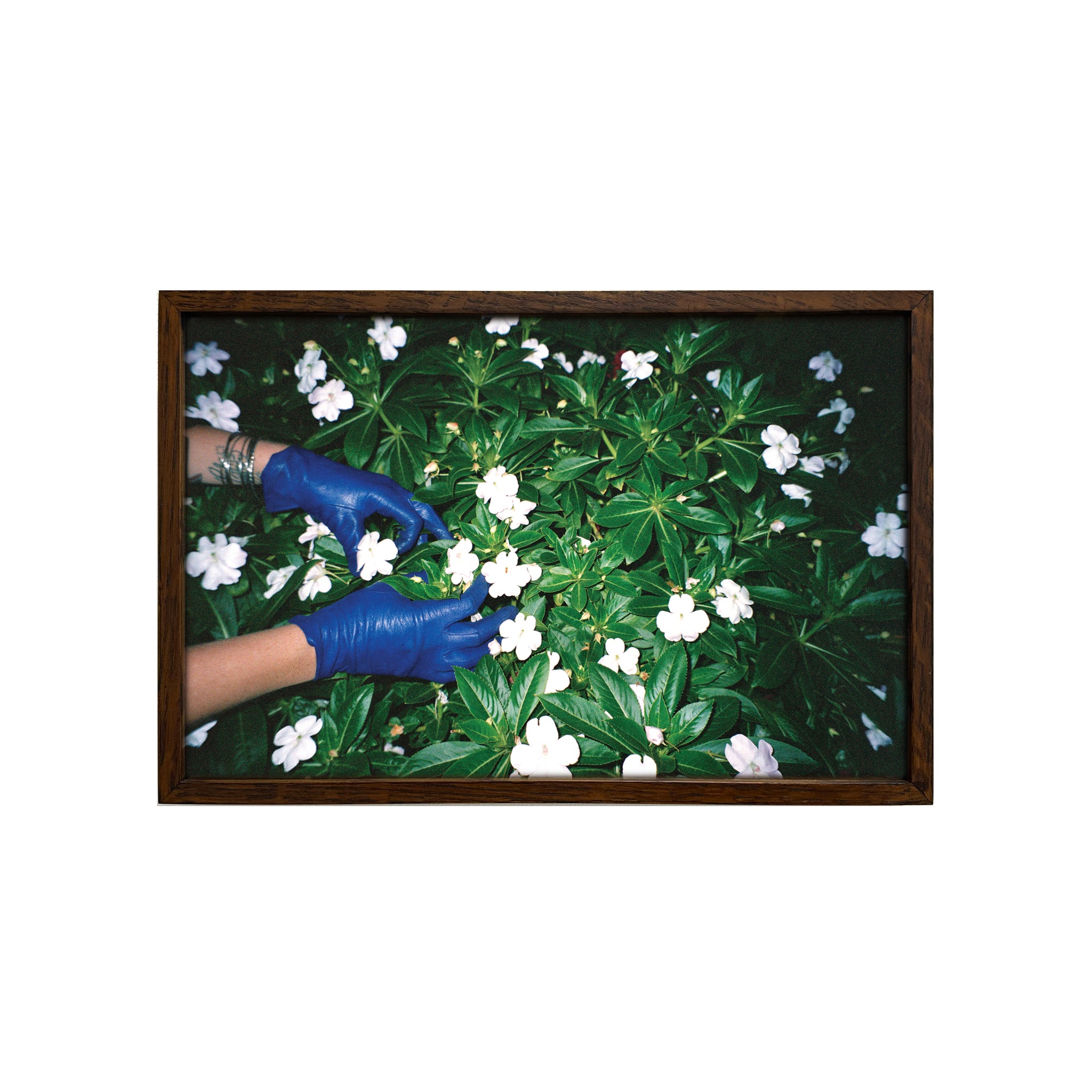 Sandy Kim: Glove and flowers