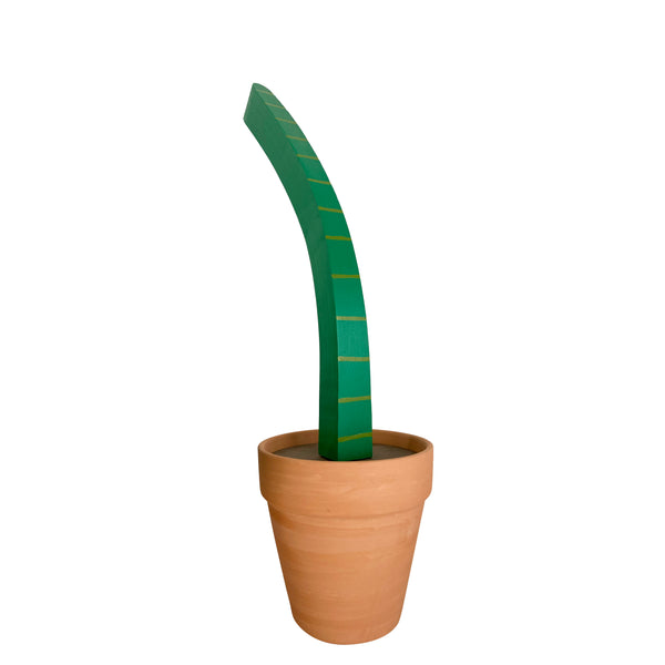 Jeff Canham: Plant #8